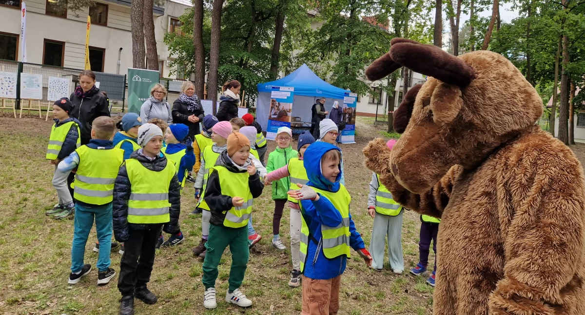 pikniki, uroczystości, MINIPIKNIK DZIAŁCE SOSNAMI - zdjęcie, fotografia