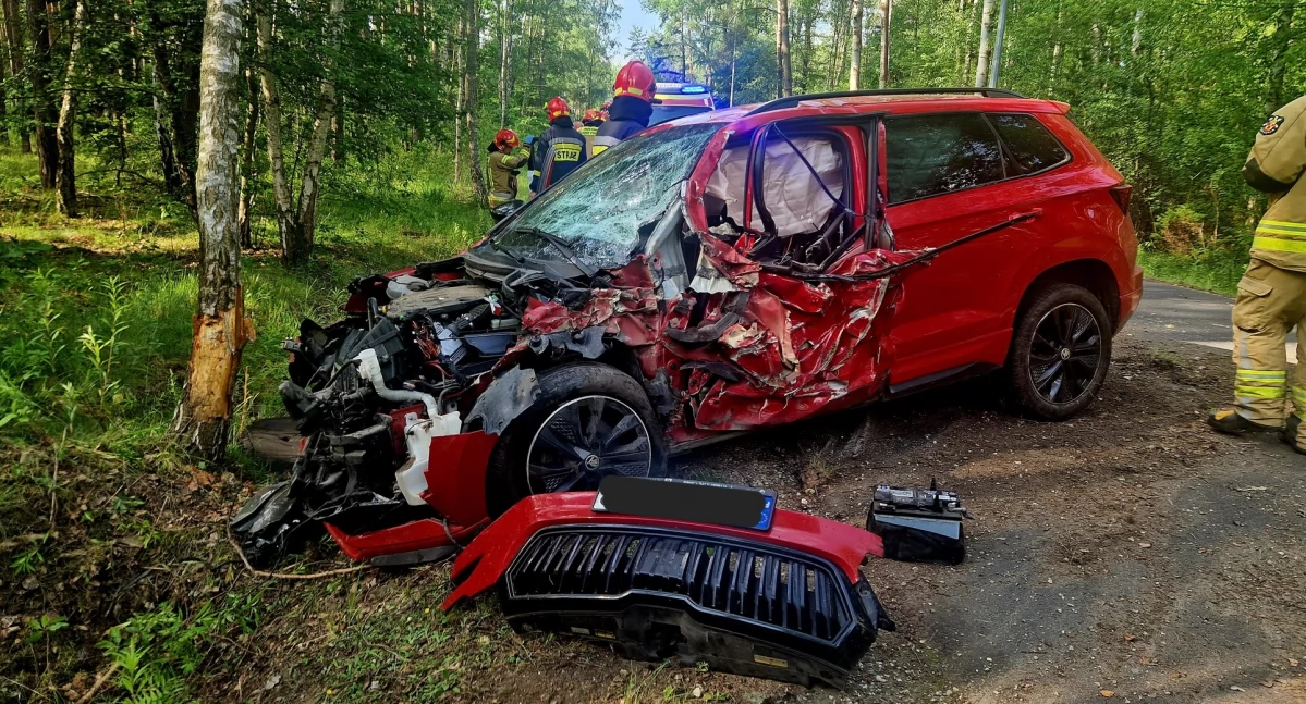 interwencje, NIEBEZPIECZNE ZDARZENIE SIERAKOWSKIEJ - zdjęcie, fotografia