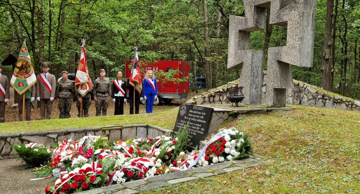 pikniki, uroczystości, UROCZYSTOŚCI POCIESZE TRUSKAWIU - zdjęcie, fotografia
