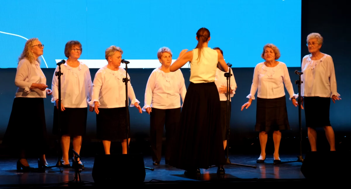 uroczystosci-festyny-rajdy-koncerty, PRZEGLĄD AMATORSKICH SENIORALNYCH ZESPOŁÓW ARTYSTYCZNYCH - zdjęcie, fotografia