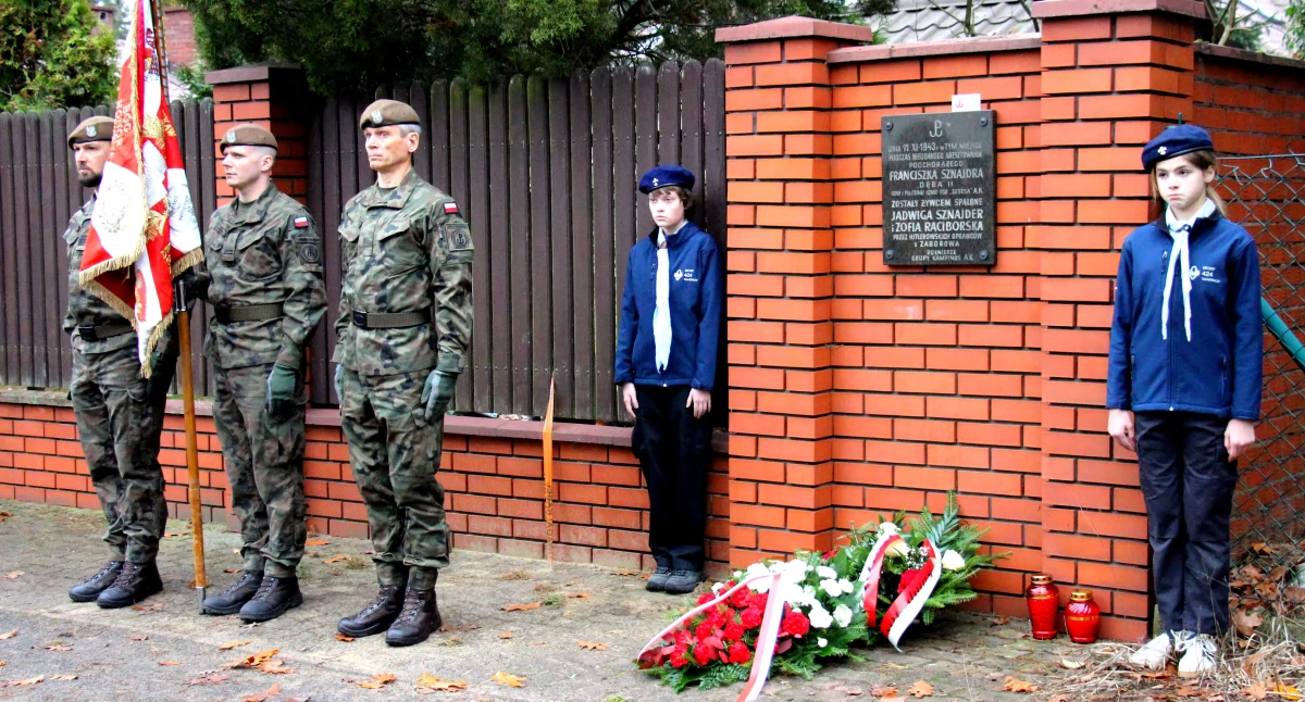 pikniki, uroczystości, NARODOWE ŚWIĘTO NIEPODLEGŁOŚCI IZABELINIE - zdjęcie, fotografia