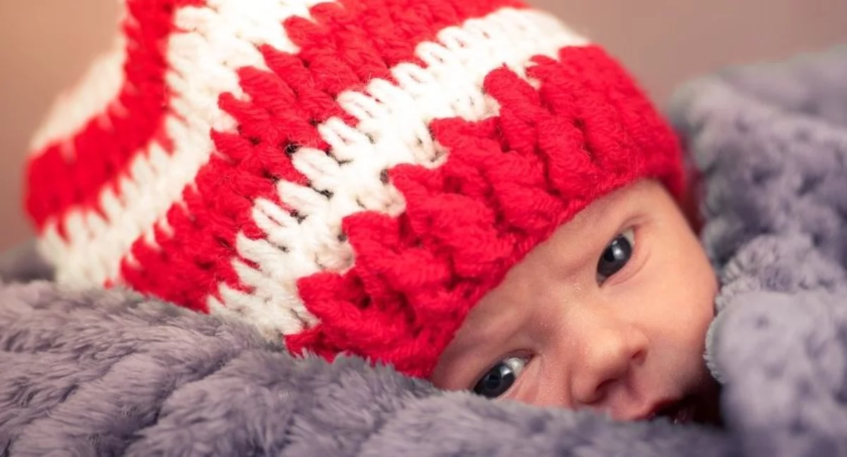 urzad, wojt, rada, STYCZNIU URODZONY JEST… - zdjęcie, fotografia