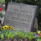 Fotka nr 0 z 38