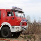 Fotka nr 1 z 11