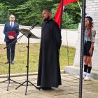 zdjęcie nr 12