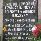 zdjęcie nr 22