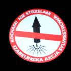 zdjęcie nr 32