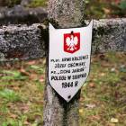 zdjęcie nr 30