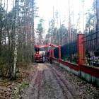 Fotka nr 1 z 11