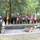 zdjęcie nr 36