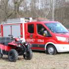 zdjęcie nr 41