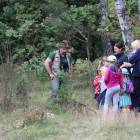 zdjęcie nr 13