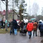 zdjęcie nr 16