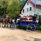 zdjęcie nr 14