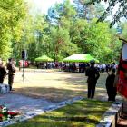zdjęcie nr 91
