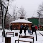 zdjęcie nr 9