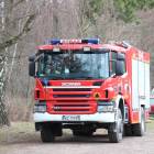 Fotka nr 3 z 48