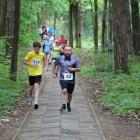 zdjęcie nr 113