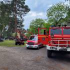 Fotka nr 2 z 15