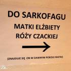 zdjęcie nr 13