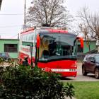 Fotka nr 5 z 8