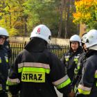 zdjęcie nr 8