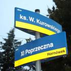 Fotka nr 5 z 32