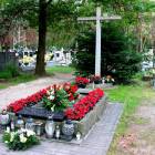 zdjęcie nr 16
