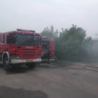 Fotka nr 4 z 5
