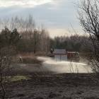 Fotka nr 3 z 12