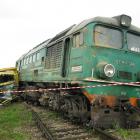zdjęcie nr 7