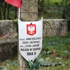 zdjęcie nr 12