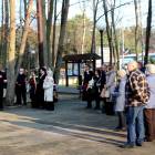 zdjęcie nr 14
