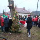 zdjęcie nr 26