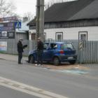 Fotka nr 4 z 5