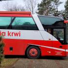 zdjęcie nr 11