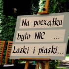 zdjęcie nr 11