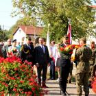 zdjęcie nr 31