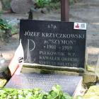 zdjęcie nr 13