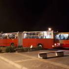 Fotka nr 3 z 13