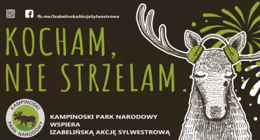 KOCHAM, NIE STRZELAM SYLWESTER BEZ FAJERWERKÓW
