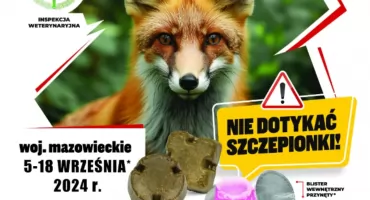 AKCJA SZCZEPIENIA LISÓW WOLNO ŻYJĄCYCH PRZECIWKO WŚCIEKLIŹNIE