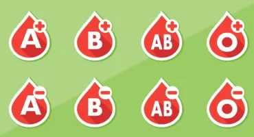 TERMINY AKCJI KRWIODAWSTWA NA 2026 R.