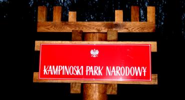 NOWE WITACZE W KAMPINOSKIM PARKU